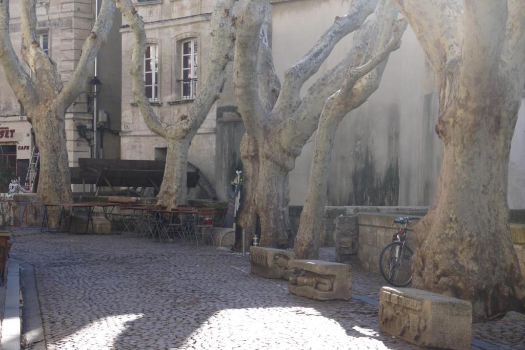 Des Teinturiers Avignon